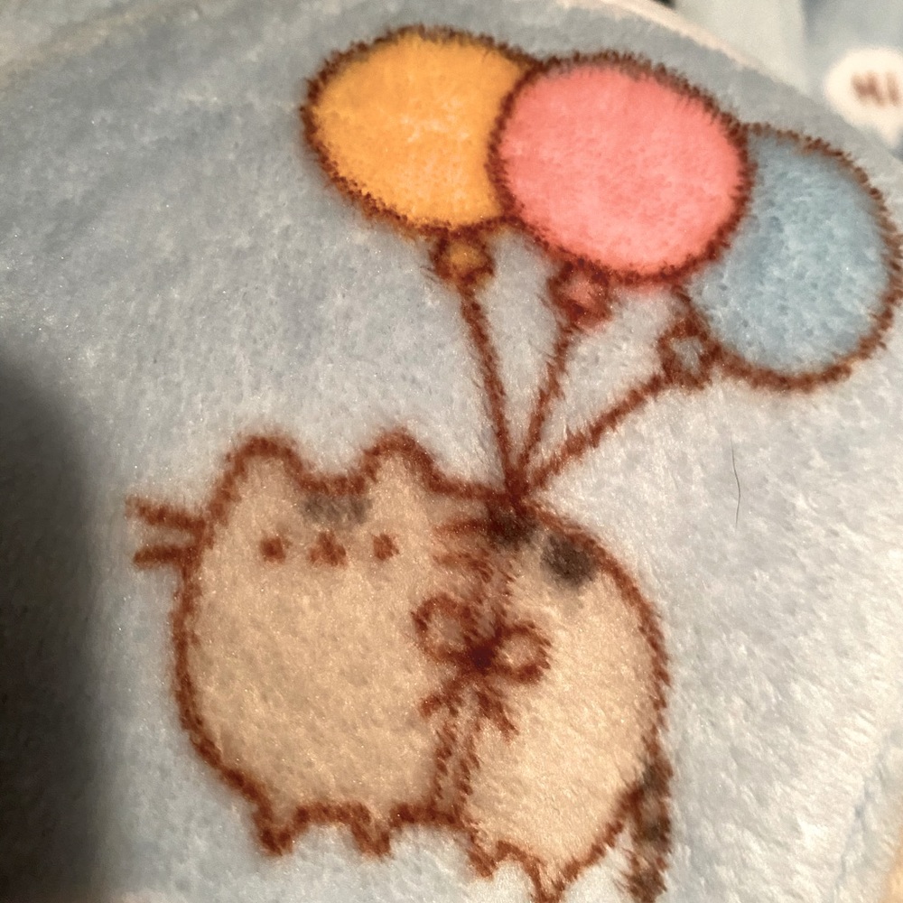 Pusheen The Cat Plush Robe (L/3XL)